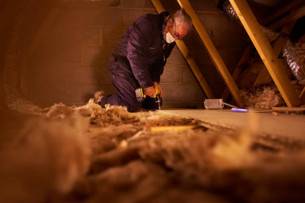 Best Best Insulation Companies  in Sherwood, WI